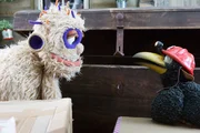 Mit einem Trick haben Rabe Rudi (Lennart Morgenstern) und Monster (Jochen Menzel) es geschafft, zu der ersehnten Truhe zu schleichen. Doch wo ist nun der große Wachhund? Mit einem Trick haben Rabe Rudi (Lennart Morgenstern) und Monster (Jochen Menzel) es geschafft, zu der ersehnten Truhe zu schleichen. Doch wo ist nun der große Wachhund?