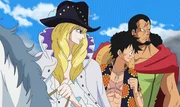 (v.l.n.r.) Cavendish; Ruffy; Kyros (v.l.n.r.) Cavendish; Ruffy; Kyros