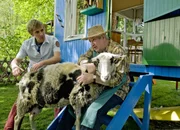 Fritz Fuchs (Guido Hammesfahr) und Nachbar Paschulke (Helmut Krauss) mit Schaf