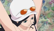 Robin Robin
