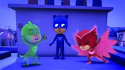 (v. l.) Gecko, Catboy und Eulette