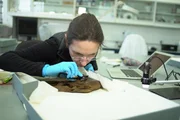 Fabric Specialist examines shoes from the London Shipwreck (National Geographic/Mik Bakalarz) Fabric Specialist examines shoes from the London Shipwreck (National Geographic/Mik Bakalarz)