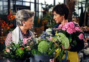 Merle (Anja Franke, r.) erzählt Inge (Peggy Lukac, l.) von ihrem Plan, einen Arganöl-Handel zu gründen. Merle (Anja Franke, r.) erzählt Inge (Peggy Lukac, l.) von ihrem Plan, einen Arganöl-Handel zu gründen.
