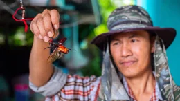 K&auml;ferz&uuml;chter Pao mit einem seiner Riesenk&auml;fer