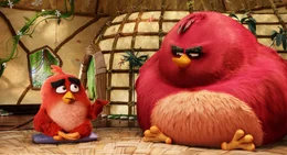 "Angry Birds - Der Film", Die V&ouml;gel leben auf einer idyllischen, entlegenen Insel. Red, der zu Wutausbr&uuml;chen neigt, wird von den st&auml;ndig gut gelaunten Freunden zum Anti-Aggressionstraining verdonnert. Als gr&uuml;ne Schweine mit ihrem Schiff ankommen und die V&ouml;gel mit Tanz und Gesang unterhalten, ist Red als Einziger misstrauisch. Die Schweine haben es tats&auml;chlich auf ihre Eier abgesehen. Red und seine Freunde, Chuck und 'Bombe', m&uuml;ssen die Vogelschar erst w&uuml;tend machen, damit sie ihre Gelege vor den Eindringlingen sch&uuml;tzen.  SENDUNG: ORF eins - SO - 02.08.2020 - 11:20 UHR. - Veroeffentlichung fuer Pressezwecke honorarfrei ausschliesslich im Zusammenhang mit oben genannter Sendung oder Veranstaltung des ORF bei Urhebernennung.