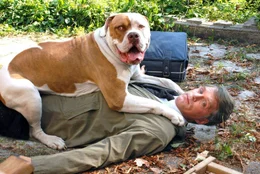 Nachdem Fabian (Walter Sittler) in Berlin bei einer Butleragentur entt&auml;uscht wurde, l&auml;uft er geradewegs in die Arme seines Schicksals: Patricia von Knesewitz. Auf dem Anwesen derer von Knesewitz macht er sofort Bekanntschaft mit Hund Wendy ...