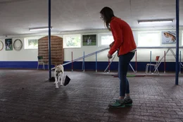 Der treue Vierbeiner wird trainiert, damit man sich im Einsatz zu 100% auf ihn verlassen kann. Hunde sind f&uuml;r den Menschen im t&auml;glichen Leben oft unersetzbar.
