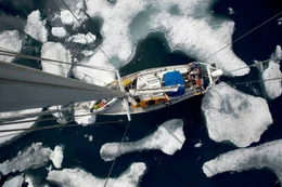 In der Arktis wird es immer w&auml;rmer, das ewige Eis schmilzt dahin. Diese Dokumentation zeigt die tiefgreifenden Ver&auml;nderungen in der n&ouml;rdlichen Polarregion am Beispiel zweier Arten. F&uuml;r die Orcas bietet das Schrumpfen des arktischen Eises neue Chancen. Die als &bdquo;Killerwale" verrufenen Meeress&auml;uger dringen immer weiter in die arktischen Gew&auml;sser vor und machen hier inzwischen dem Eisb&auml;ren die Rolle als gr&ouml;&szlig;ter und gef&auml;hrlichster J&auml;ger streitig.