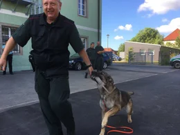 Hunde sind f&uuml;r den Menschen im t&auml;glichen Leben oft unersetzbar. Der Film zeigt die beeindruckenden F&auml;higkeiten der Vierbeiner und begleitet sie beim Training, im Einsatz und beim Zusammenleben mit Menschen. Bild: Polizeibeamter beim Zoll mit Sch&auml;ferhund w&auml;hrend des Trainings.