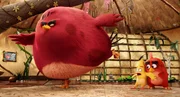 V.l.: Terence, Chuck und Red versuchen mit allen Mitteln, die gr&uuml;nen Schweine aufzuhalten.