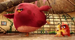 V.l.: Terence, Chuck und Red versuchen mit allen Mitteln, die gr&uuml;nen Schweine aufzuhalten.