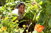 Zum Finale geht es in den Interkulturellen Gemeinschaftsgarten nach Lahr im Schwarzwald. Hier g&auml;rtnert die heutige Gastgeberin Sugirtha Navarathinam gemeinsam mit 25 anderen Menschen. Auf ihrer Parzelle baut sie vor allem Nutzpflanzen aus ihrer Heimat Sri Lanka an: Bittergurken, besondere Bohnen und Auberginen.