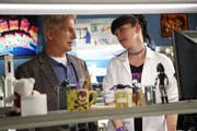 Ermitteln in einem neuen Fall: Gibbs (Mark Harmon, l.) und Abby (Pauley Perrette, r.) ... Ermitteln in einem neuen Fall: Gibbs (Mark Harmon, l.) und Abby (Pauley Perrette, r.) ...