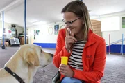 Der treue Vierbeiner wird trainiert, damit man sich im Einsatz zu 100% auf ihn verlassen kann. Hunde sind f&uuml;r den Menschen im t&auml;glichen Leben oft unersetzbar.
