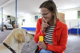 Der treue Vierbeiner wird trainiert, damit man sich im Einsatz zu 100% auf ihn verlassen kann. Hunde sind f&uuml;r den Menschen im t&auml;glichen Leben oft unersetzbar.