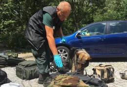 Hunde sind f&uuml;r den Menschen im t&auml;glichen Leben oft unersetzbar. Der Film zeigt die beeindruckenden F&auml;higkeiten der Vierbeiner und begleitet sie beim Training, im Einsatz und beim Zusammenleben mit Menschen. Bild: Polizeibeamter beim Zoll mit Sch&auml;ferhund w&auml;hrend des Trainings.