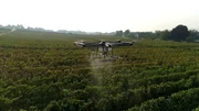 Drohne im Einsatz über dem Weinberg Drohne im Einsatz über dem Weinberg