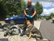 Hunde sind f&uuml;r den Menschen im t&auml;glichen Leben oft unersetzbar. Der Film zeigt die beeindruckenden F&auml;higkeiten der Vierbeiner und begleitet sie beim Training, im Einsatz und beim Zusammenleben mit Menschen. Bild: Polizeibeamter beim Zoll mit Sch&auml;ferhund w&auml;hrend des Trainings.