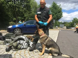 Hunde sind f&uuml;r den Menschen im t&auml;glichen Leben oft unersetzbar. Der Film zeigt die beeindruckenden F&auml;higkeiten der Vierbeiner und begleitet sie beim Training, im Einsatz und beim Zusammenleben mit Menschen. Bild: Polizeibeamter beim Zoll mit Sch&auml;ferhund w&auml;hrend des Trainings.