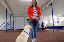 Der treue Vierbeiner wird trainiert, damit man sich im Einsatz zu 100% auf ihn verlassen kann. Hunde sind f&uuml;r den Menschen im t&auml;glichen Leben oft unersetzbar.