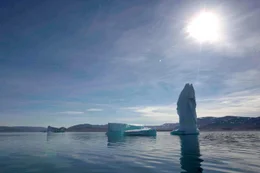In der Arktis wird es immer w&auml;rmer, das ewige Eis schmilzt dahin. Diese Dokumentation zeigt die tiefgreifenden Ver&auml;nderungen in der n&ouml;rdlichen Polarregion am Beispiel zweier Arten. F&uuml;r die Orcas bietet das Schrumpfen des arktischen Eises neue Chancen. Die als &bdquo;Killerwale" verrufenen Meeress&auml;uger dringen immer weiter in die arktischen Gew&auml;sser vor und machen hier inzwischen dem Eisb&auml;ren die Rolle als gr&ouml;&szlig;ter und gef&auml;hrlichster J&auml;ger streitig.