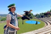 Michi bei der Greifvogelshow auf Schloss Riegersburg