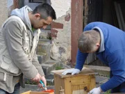 Mauro (li.) und Joachim bringen ein Holzkästchen wieder auf Vordermann - schließlich muß das noch verkauft werden. Mauro (li.) und Joachim bringen ein Holzkästchen wieder auf Vordermann - schließlich muß das noch verkauft werden.