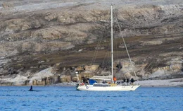 In der Arktis wird es immer w&auml;rmer, das ewige Eis schmilzt dahin. Diese Dokumentation zeigt die tiefgreifenden Ver&auml;nderungen in der n&ouml;rdlichen Polarregion am Beispiel zweier Arten. F&uuml;r die Orcas bietet das Schrumpfen des arktischen Eises neue Chancen. Die als &bdquo;Killerwale" verrufenen Meeress&auml;uger dringen immer weiter in die arktischen Gew&auml;sser vor und machen hier inzwischen dem Eisb&auml;ren die Rolle als gr&ouml;&szlig;ter und gef&auml;hrlichster J&auml;ger streitig.