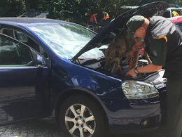 Hunde sind f&uuml;r den Menschen im t&auml;glichen Leben oft unersetzbar. Der Film zeigt die beeindruckenden F&auml;higkeiten der Vierbeiner und begleitet sie beim Training, im Einsatz und beim Zusammenleben mit Menschen. Bild: Polizeibeamter beim Zoll mit Sch&auml;ferhund w&auml;hrend des Trainings.