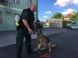 Hunde sind f&uuml;r den Menschen im t&auml;glichen Leben oft unersetzbar. Der Film zeigt die beeindruckenden F&auml;higkeiten der Vierbeiner und begleitet sie beim Training, im Einsatz und beim Zusammenleben mit Menschen. Bild: Polizeibeamter beim Zoll mit Sch&auml;ferhund w&auml;hrend des Trainings.