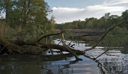 Stausee Wasserburg.