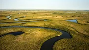 Ein Luftblick auf das Wasserlabyrinth des Okawangos umrandet von Schilf. Ein Luftblick auf das Wasserlabyrinth des Okawangos umrandet von Schilf.