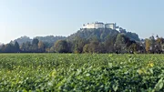 Hohe Festung.