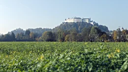 Hohe Festung.