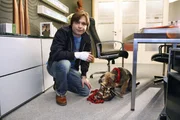 Bruno (Tim Sander) sucht vergeblich in Sophies Büro nach dem Prototypen. Bruno (Tim Sander) sucht vergeblich in Sophies Büro nach dem Prototypen.
