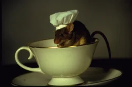 Eine kleine graue Maus wehrt sich gegen den Abriss ihrer Unterkunft. Und ihr Widerstand ist st&auml;rker als erwartet ...