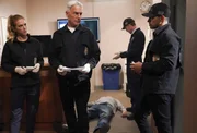 (v.l.n.r.) Eleanor Bishop (Emily Wickersham); Leroy Jethro Gibbs (Mark Harmon); Nick Torres (Wilmer Valderrama) (v.l.n.r.) Eleanor Bishop (Emily Wickersham); Leroy Jethro Gibbs (Mark Harmon); Nick Torres (Wilmer Valderrama)