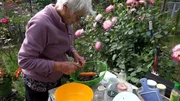 Rentnerin Ingrid ist berühmt für ihre Koch- und Backkünste. Heute soll es Bohneneintopf mit Möhren und Kartoffeln geben. Rentnerin Ingrid ist berühmt für ihre Koch- und Backkünste. Heute soll es Bohneneintopf mit Möhren und Kartoffeln geben.