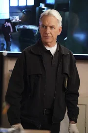 Leroy Jethro Gibbs (Mark Harmon) Leroy Jethro Gibbs (Mark Harmon)