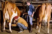 Städter Martin Lustenberger verbringt drei Tage auf dem Bauernhof seines Cousins Thomas Staffelbach Städter Martin Lustenberger verbringt drei Tage auf dem Bauernhof seines Cousins Thomas Staffelbach