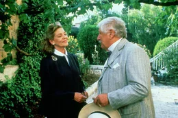 Im Zuge von Detektiv Hercule Poirots (Peter Ustinov) Ermittlungen geraten alle, auch die Abgeordnete Lady Westholme (Lauren Bacall), in Verdacht.