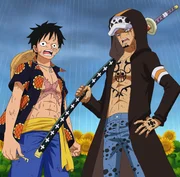 Ruffy (l.); Trafalgar D. Law (l.) Ruffy (l.); Trafalgar D. Law (l.)