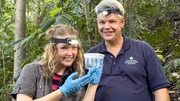 Nina ist diesmal als Froschforscherin unterwegs und fängt mit dem Biologen Brian einen Pfeilgiftfrosch. (Brian Gratwicke) Nina ist diesmal als Froschforscherin unterwegs und fängt mit dem Biologen Brian einen Pfeilgiftfrosch. (Brian Gratwicke)