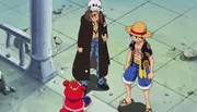 (v.l.n.r.) Sugar; Trafalgar D. Law; Ruffy (v.l.n.r.) Sugar; Trafalgar D. Law; Ruffy