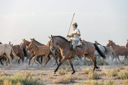 Die Vaqueros treiben die Stuten durch den Nationalpark Coto de Do&ntilde;ana.