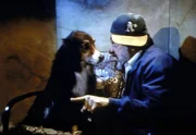 Mark (Victor French) kann nicht glauben, dass sich Jonathan in einen Hund verwandelt hat. Mark (Victor French) kann nicht glauben, dass sich Jonathan in einen Hund verwandelt hat.