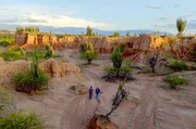 Die Tatacoa heißt zwar Wüste, ist aber eigentlich ein Trockenwald und eine der bedeutendsten paläontologischen Stätten Südamerikas, in der sich vor allem Fossilien aus dem Mittelmiozän finden. Die Tatacoa heißt zwar Wüste, ist aber eigentlich ein Trockenwald und eine der bedeutendsten paläontologischen Stätten Südamerikas, in der sich vor allem Fossilien aus dem Mittelmiozän finden.