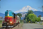 Kurzer Zwischenhalt an einem Weingut &ndash; Oregon ist nach Kalifornien eine der wichtigsten Weinbauregionen der USA &ndash; im Hintergrund ist diesmal der Mount Adams zu sehen. Ebenfalls ein Vulkan, er liegt schon im Bundesstaat Washington.
