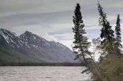 Um ihre Natur und ihre Jagdgründe zu schützen, haben einige First Nations gemeinsam erwirkt, dass das Peel River Basin unter Schutz gestellt wurde. Es bietet Karibus und Wölfen einen klimatischen Rückzugsort. Um ihre Natur und ihre Jagdgründe zu schützen, haben einige First Nations gemeinsam erwirkt, dass das Peel River Basin unter Schutz gestellt wurde. Es bietet Karibus und Wölfen einen klimatischen Rückzugsort.
