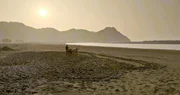 Feldarbeit am Brahmaputra, Bauer beim Pflügen, Assam, Indien. Feldarbeit am Brahmaputra, Bauer beim Pflügen, Assam, Indien.